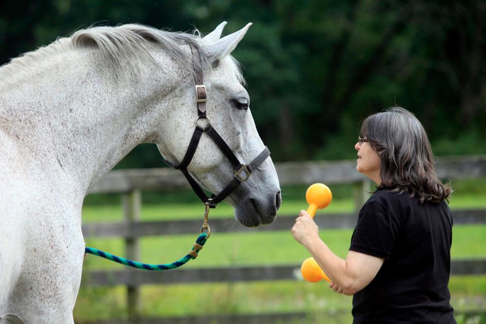 Dane and Art Therapist Rosanne Sonatore