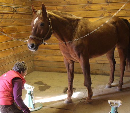 Straw DHF 1.12 #5 web lrg