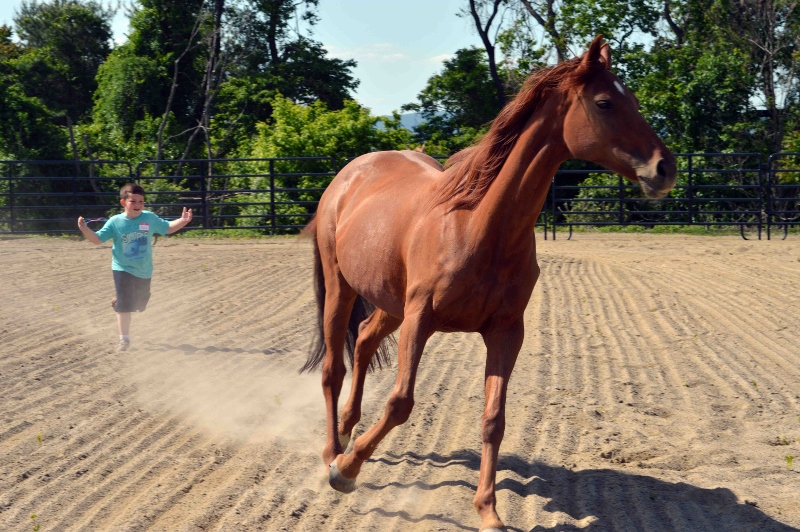 boy chasing Sirie (800x532)